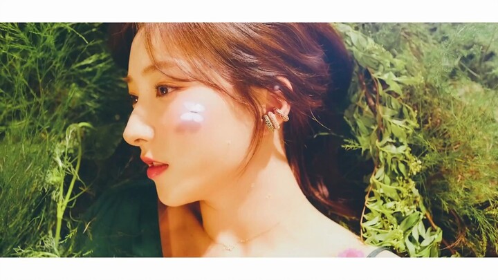 WJSN- BUTTERFLY (Chinese Subtitle Translation)