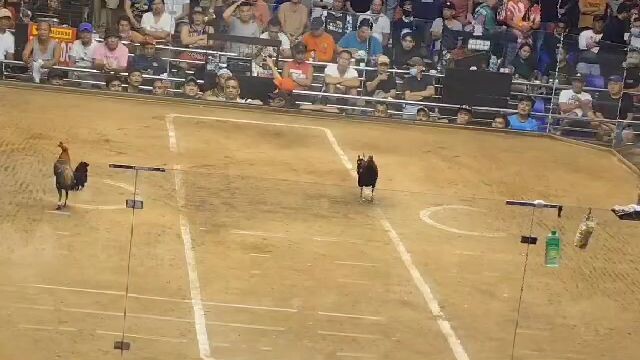 1st fight pasay cockpit