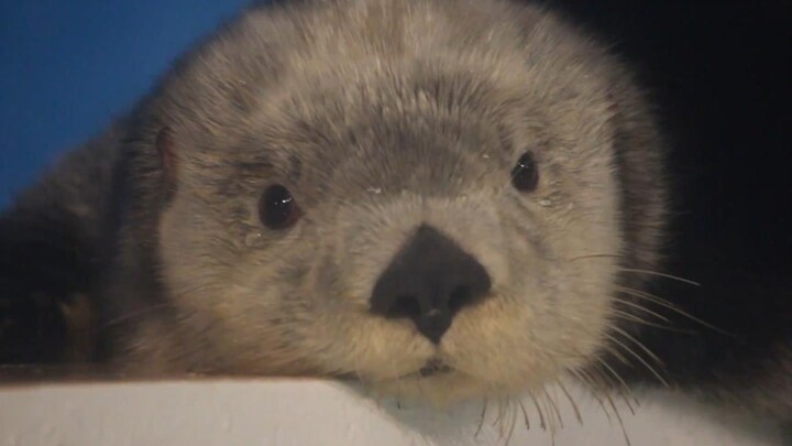 ต้าวไม่รู้เลย~~~