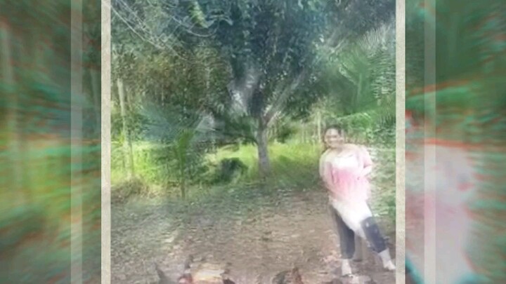 Countryside