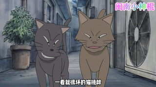 静香变成小猫咪，邂逅了一只流浪猫。开启了一段奇妙的城市流浪之旅~