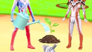 I am so happy that the saplings I planted have grown up.