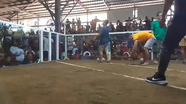 Win🐓💸New Mariveles Cockpit Arena🐓