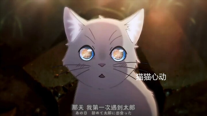 要是能当只猫就好了，“我不做人了！”‌