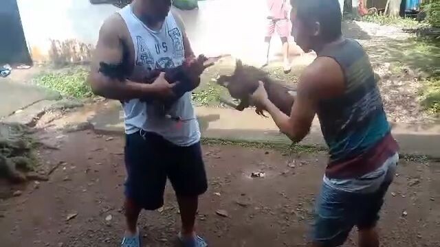 binabae vs latom bisaya