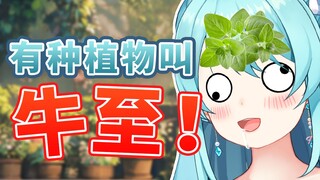 🤣你知道吗？有种植物叫牛至，它的花语是：快乐~