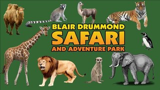 Blair Drummond Safari Park – Day Trip Adventure - Scotland Wildlife Attractions #BlairDrummondSafari