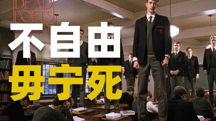 33年前的电影，关于诗歌，浪漫和自由【毒舌电影】