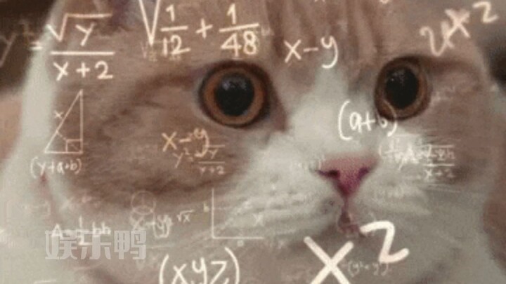 Tell me right now where this hair-perming salon is!