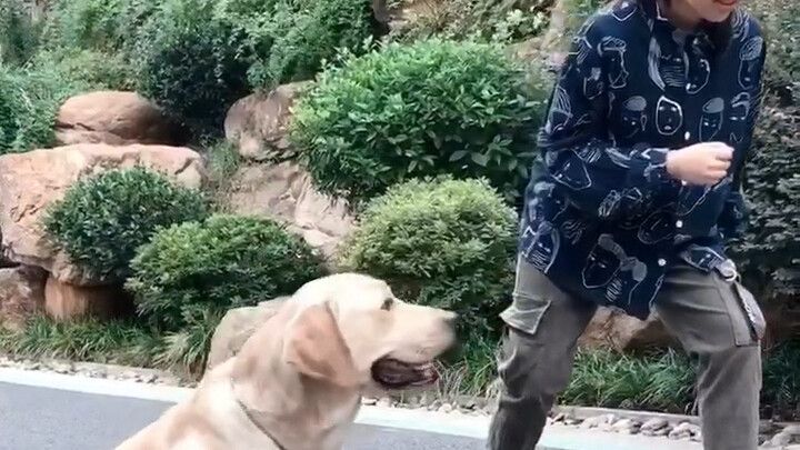 หมาอยากชนะสุดๆ!