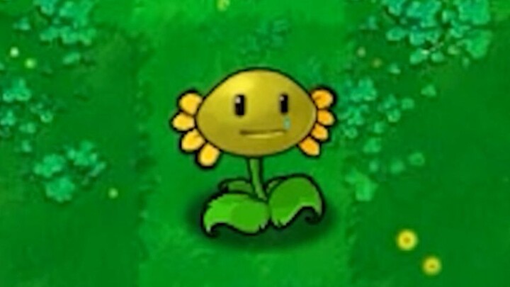 Capitalist-Style New Plant: The 996 Sunflower