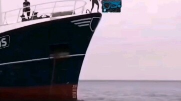 Kamen Rider 01 เสพติดการกัดฉลาม