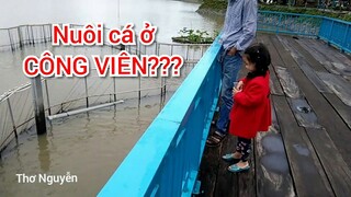 #20: Đi cho cá ăn ở công viên buổi chiều mùa thu mát mẻ - cuộc sống thường ngày P2