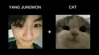 Jungwon and his cat looks.