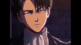 Levi Ackerman [ E D I T ]