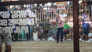 Raptor SweaterxGilmore 9 mos old napalaban sa 2 hits timbangan (Win)