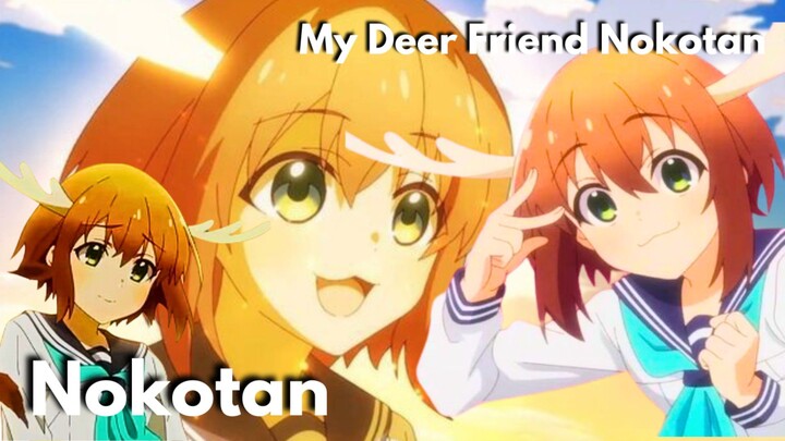 My Deer Friend Nokotan AMV