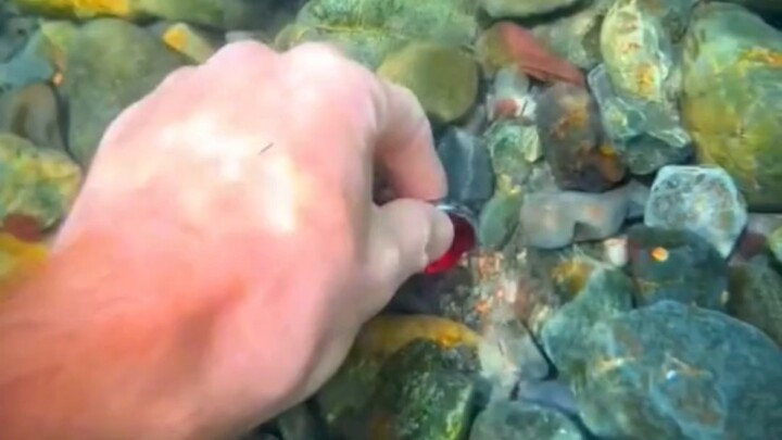 Petualangan bawah air: Siapa yang kehilangan sarung tinju jari di sini?