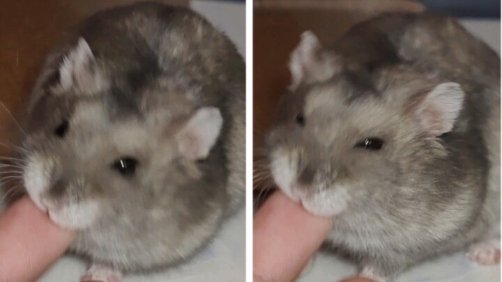 Just bite Mommy!