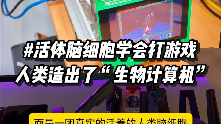 Khi máy tính trở thành sinh vật sống, các tế bào não trong đĩa nuôi cấy đã học cách chơi game!