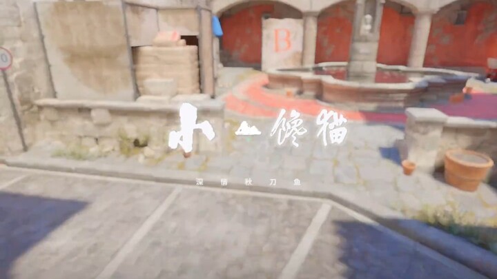 Little greedy cat!!!