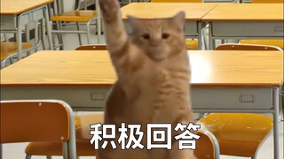 حالة الطلاب الذين يجلسون في أماكن مختلفة داخل الفصل