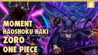 Pendekar Pedang Mematikan!! INILAH MOMENT ZORO BISA MENGGUNAKAN HAOSHOKU HAKI