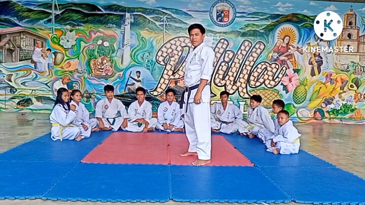 TONG IL MOO DO (korean mixed martial arts) training on Basic Skills