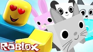 (Uncopylocked) Pet Simulator By DoomPekka