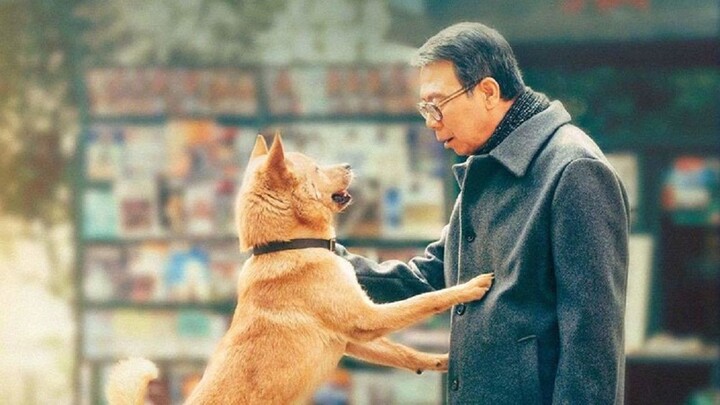 C-Movie Hachiko (2023) Sub Indo