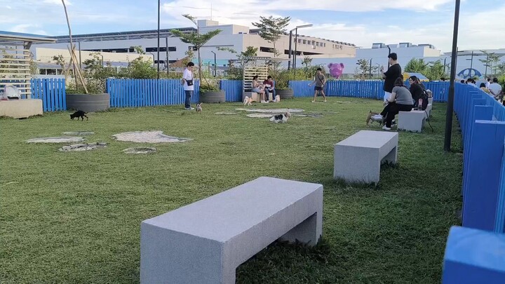 SM Mall of Asia MOA Sky