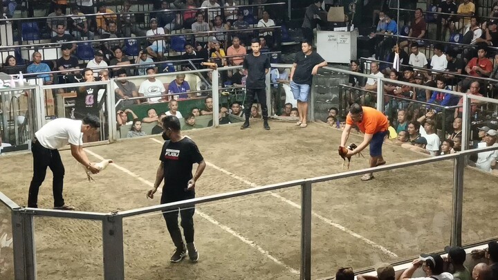 Battle of the Tiktokers 3 cock 2nd fyt against Don Bonifacio gamefarm.