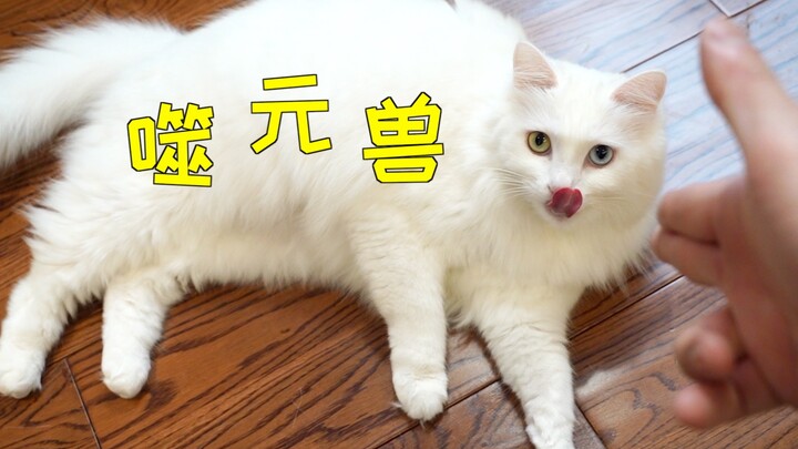 Untuk bertahan hidup, aku mengangkat senjata dan membunuh Makhluk Penyerap Yuan di rumah!