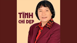 Tình Chỉ Đẹp