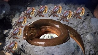 Bơm Ao Hoang Bắt Cá Đêm Cùng Tem Săn Bắt Ẩm Thực Vùng Cao