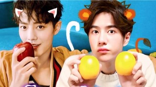 [Bo Jun Yi Xiao] Xiao Zhan's cat is confirmed! My family is the best at steaming!