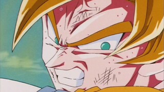 The true fighting genius-Kakarot
