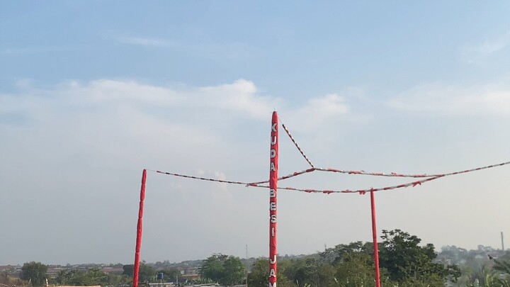 merpati kolong