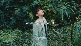 Kim SungKyu (김성규) — I dare you ❀ sub español