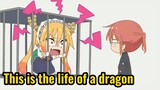 This is the life of a dragon