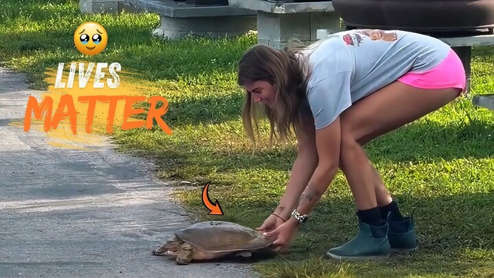 Amazing Animal Rescues That Restore Your Faith in Humanity ❤️