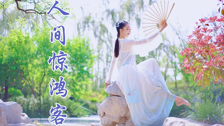 姐姐的温柔你不懂 | 愿做【人间惊鸿客】