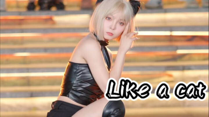 Nhấn để mở khóa bé mèo ₍˄·͈༝·͈˄*₎◞ ̑̑  【Bước chân mèo nhẹ nhàng】 Tour quảng bá tại Quảng Châu