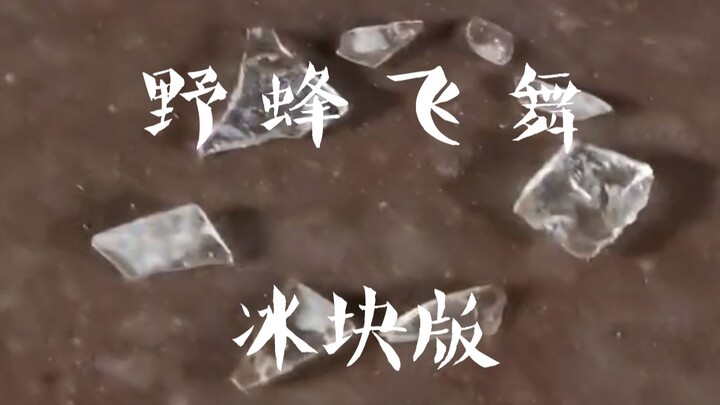 冰 蜂 飞 舞（用冰块演奏野蜂飞舞？）