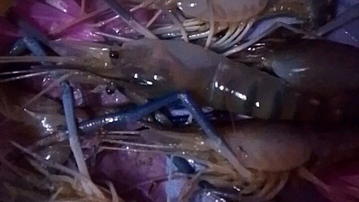 ตัวเป็นๆ