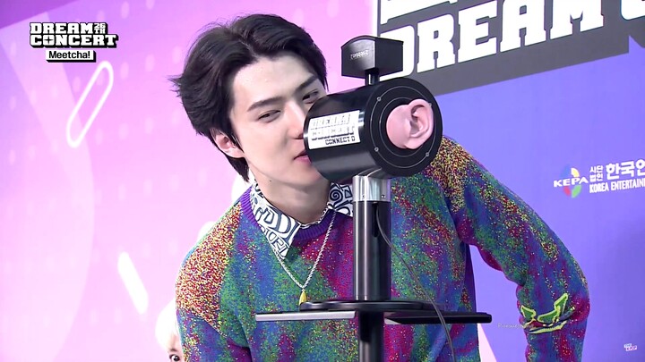 EXO’s Park Chanyeol & Oh Sehun 2020 Dream Concert Interview—A treat for headphone fans!!!