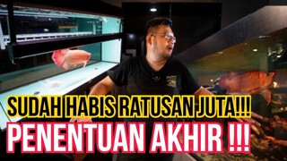 AKHIR DARI PERJALANAN PANJANG DALAM MEMPROGRES IKAN ARWANA SUPER RED SURABAYA CHAMPION YANG GUA BELI