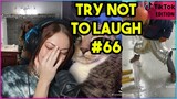 TRY NOT TO LAUGH CHALLENGE #66 | Kruz Reacts