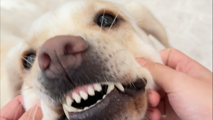 فعلاً، ليس بالضرورة أن تشبه الابنة أمها...