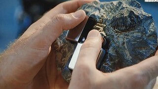 科学家捡到一块26亿年前的化石，可令人震惊的是，上面的印记竟与打火机完美吻合